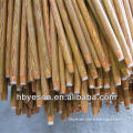 Broom Handle with PVC Sleeve hot sale Eucalyptus wood